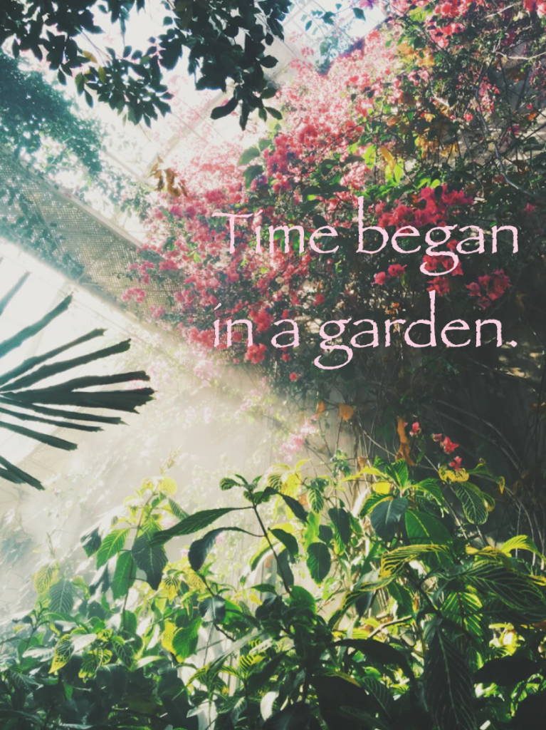 timebegan in a garden sunlight streaming through flowers in the garden of eden
